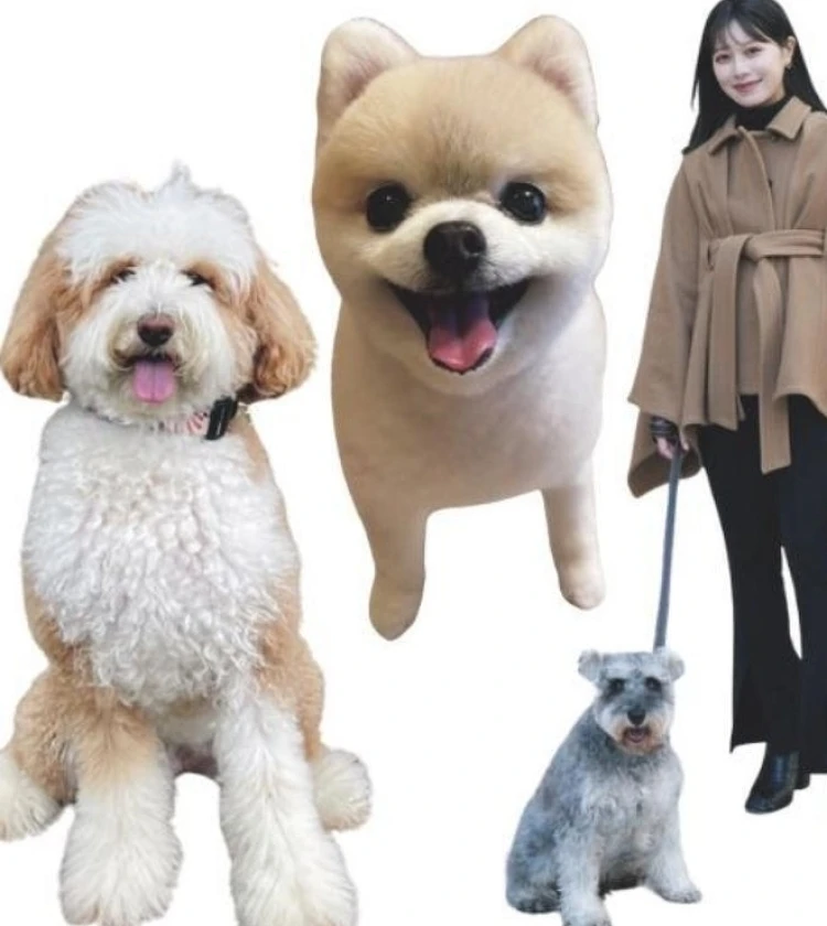モデル＆スタッフの可愛すぎる愛犬を公開♡【チームBAILAのわんわんSNAP】　