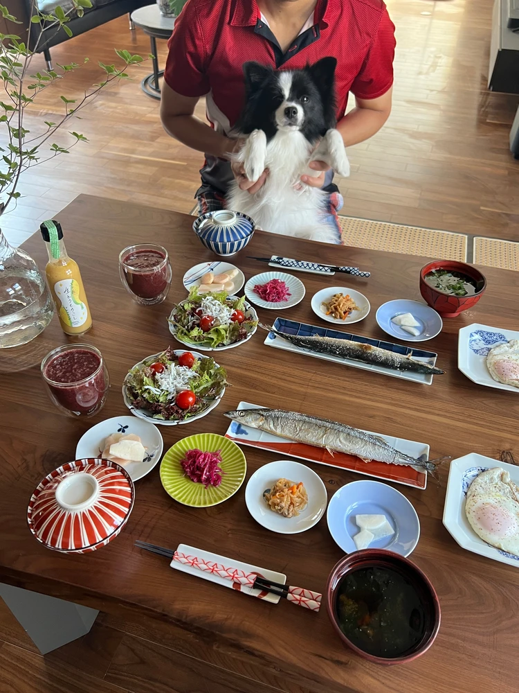 【うつわオタクが語る】こだわりの器ご紹介#おうち部_5_3