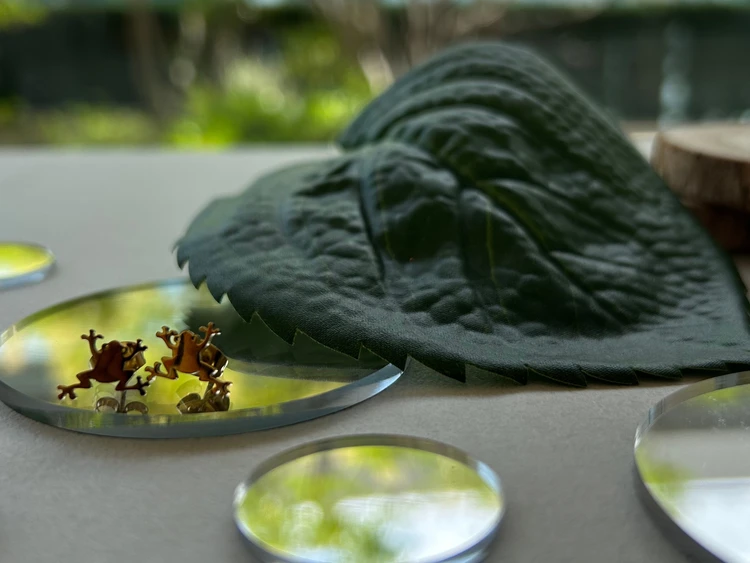 【自由が丘】カエルグッズ専門店『FROGS』蛙ピアスで梅雨も楽しもっ♡_3