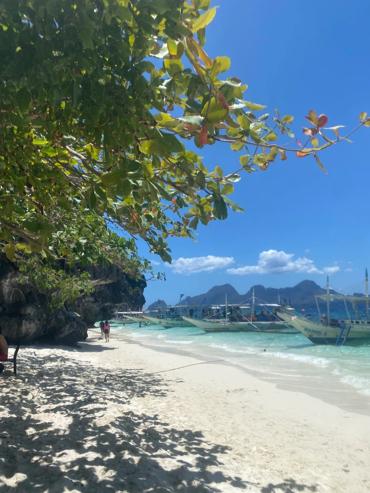 【フィリピンハーフが教える②】「エルニド」旅行攻略！島巡り・お洒落レストラン&カフェ_8_2