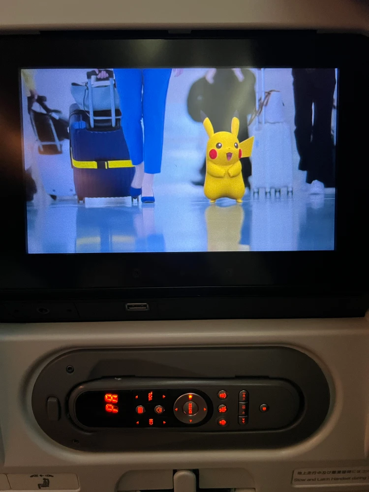 見つかったピカチュウ