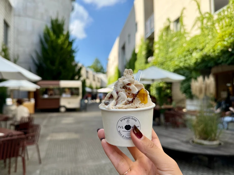 ハレterrace の濃厚なジェラート