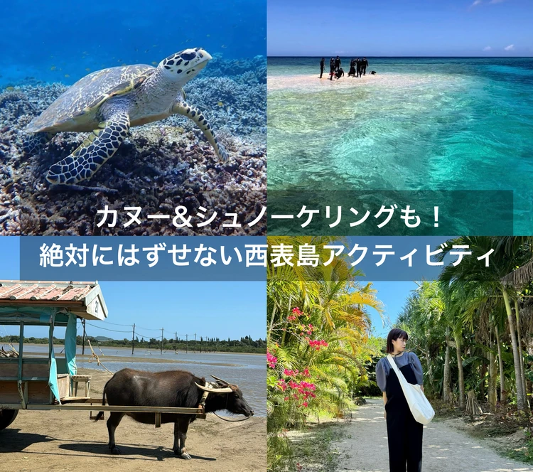 【西表島ひとり旅・観光編】カヌーやシュノーケリングもひとり参加ok！人気アクティビティにトライ_1