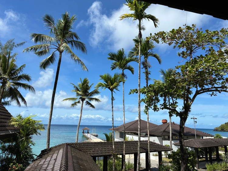 【パラオ旅行①】ハネムーンでパラオに行ってきました🇵🇼_1