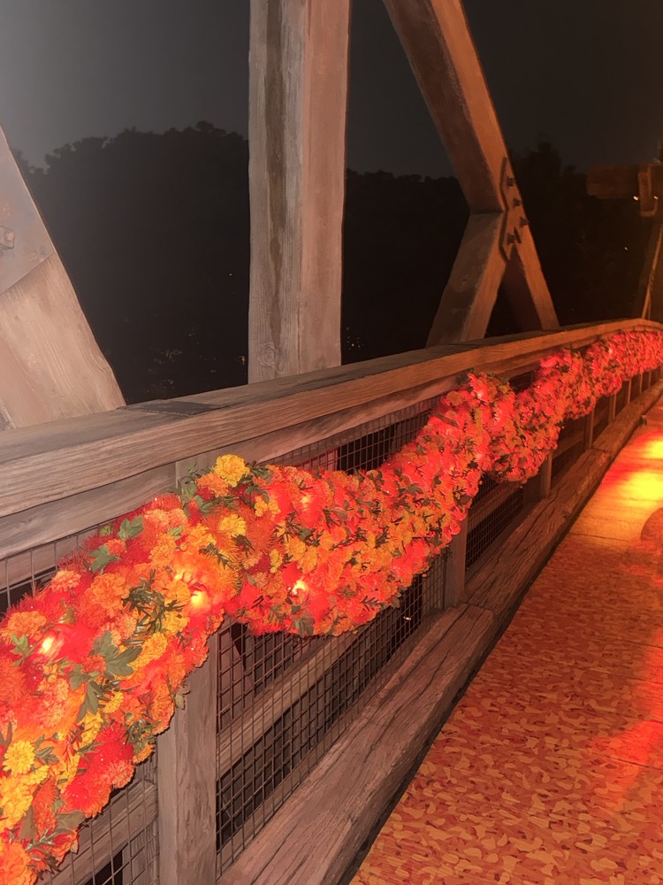 【ディズニー】今年のDハロ、要チェックアイテムをご紹介🍿🎃🧡_1