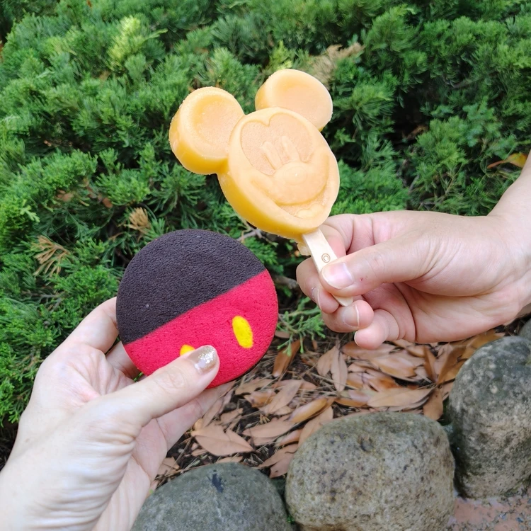 【ディズニーランド】アトラクション休止が多いこの時期の楽しみ方を紹介！_3_3