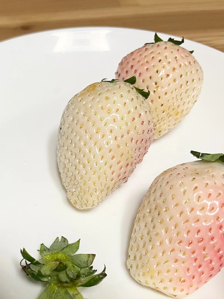 ミルキーベリー