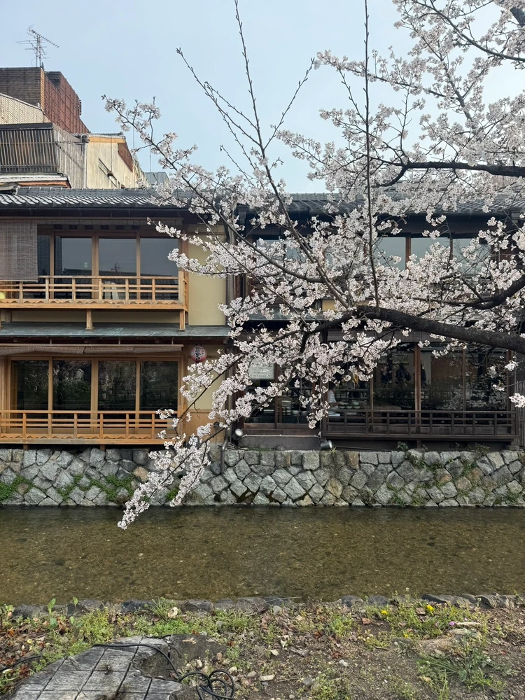 2026年最新！京都出身と行く、食いだおれ京都旅行♡【後編】_2