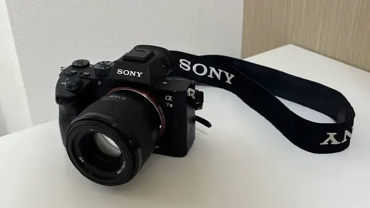 レンズ越しに出会った、心に残る一枚　#カメラ部_4