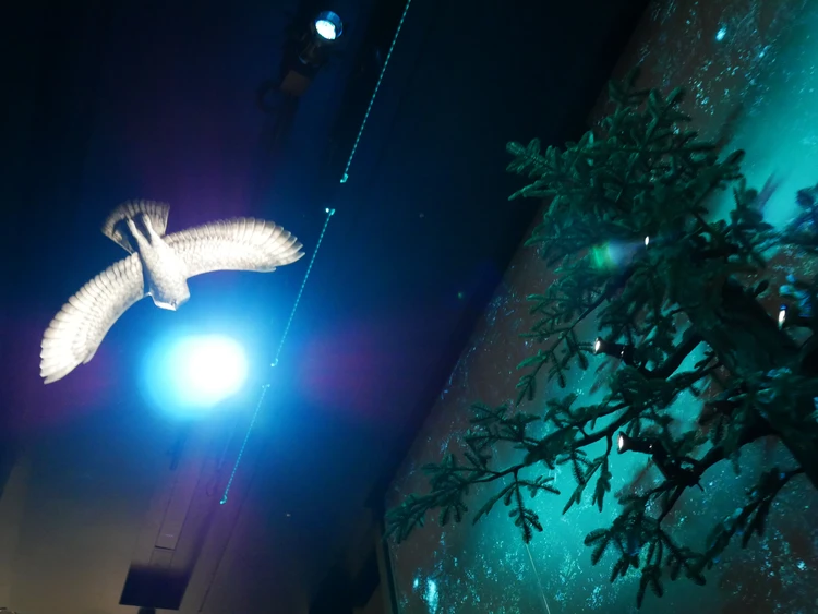 「ハリー・ポッター ショップ 原宿」禁じられた森