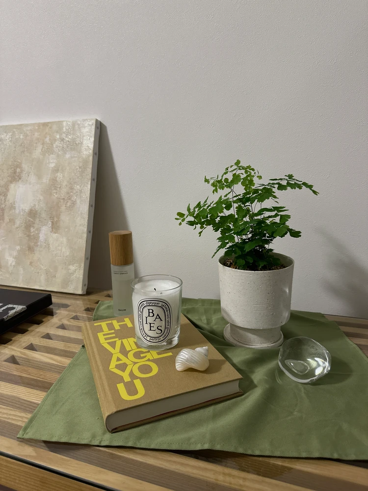【観葉植物】おしゃれに飾るコツ！都内おすすめ店＆育て方_4