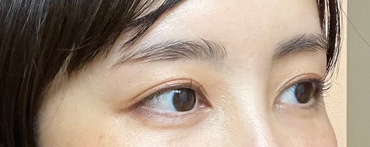 パウダーオンした眉毛