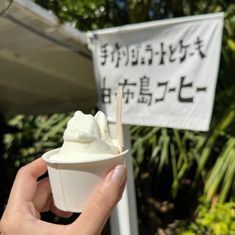 【西表島ひとり旅・観光編】カヌーやシュノーケリングもひとり参加ok！人気アクティビティにトライ_8