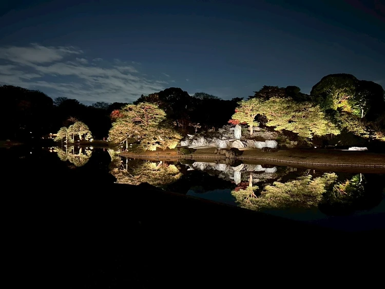 六義園のライトアップ