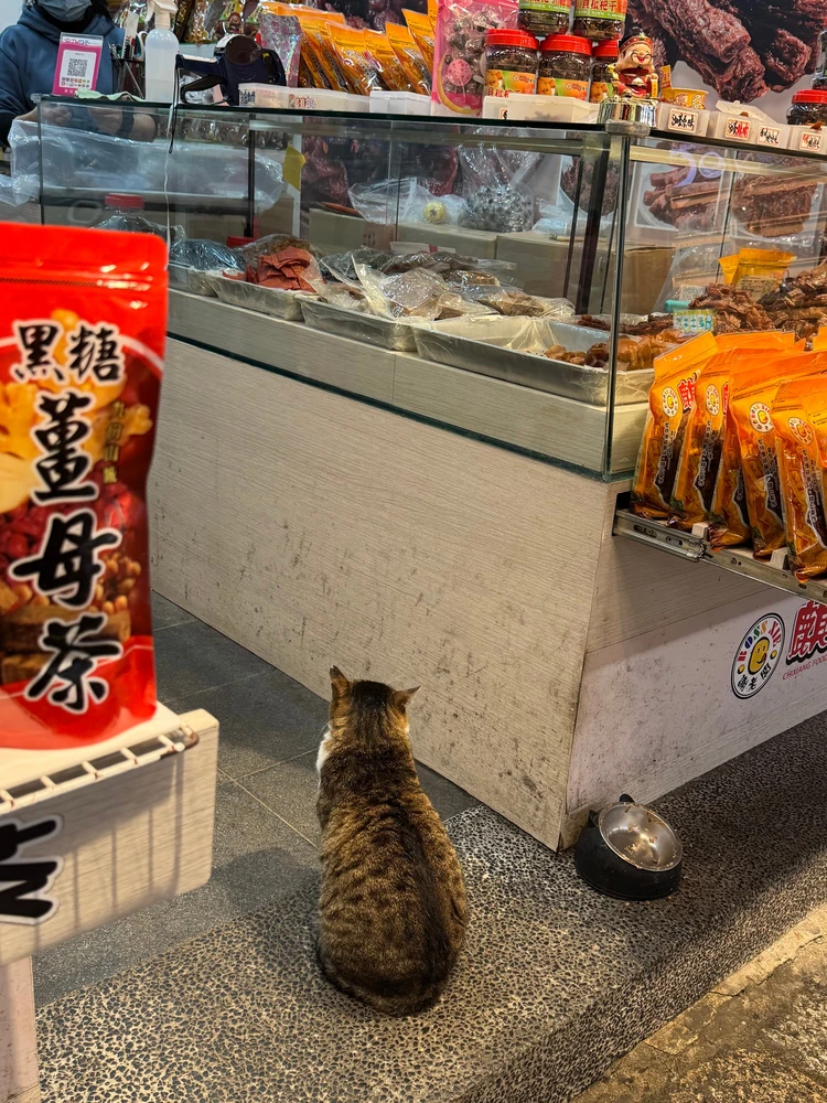 【台湾】九份も台北101もFunPASSでコスパよく観光！台北エリア2泊3日モデルコース【前編】_10_2