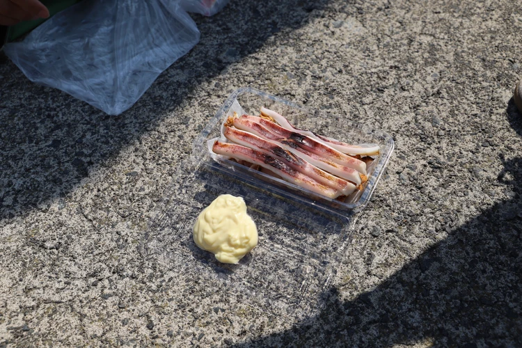 【3日目｜青森】県立美術館・三内丸山遺跡・A-FACTORYを巡る青森よくばり旅_1_2