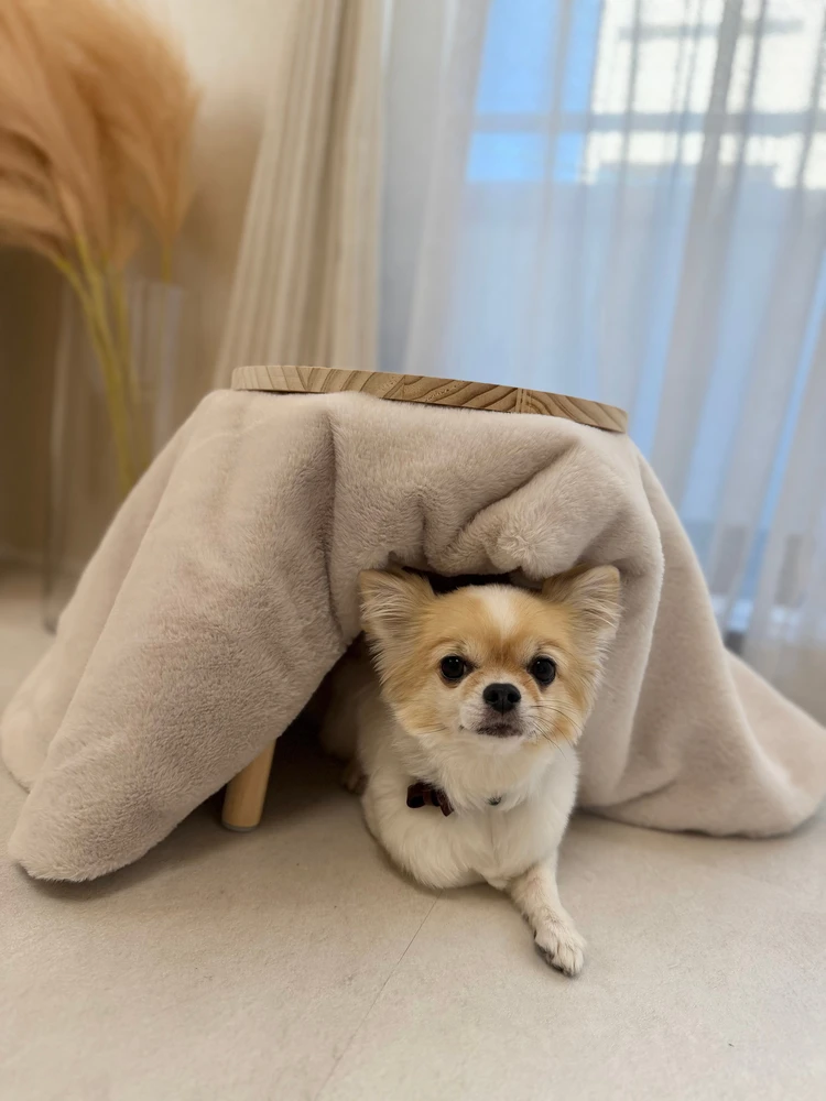 【3COINS】ペット用コタツ