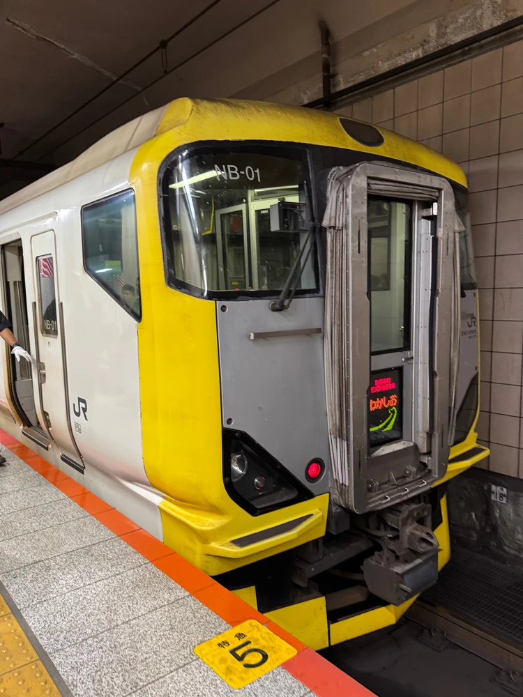 【千葉・勝浦】車無しでもOK！都内から日帰りお出かけプラン【シルバーウィークにも◎】_3_1