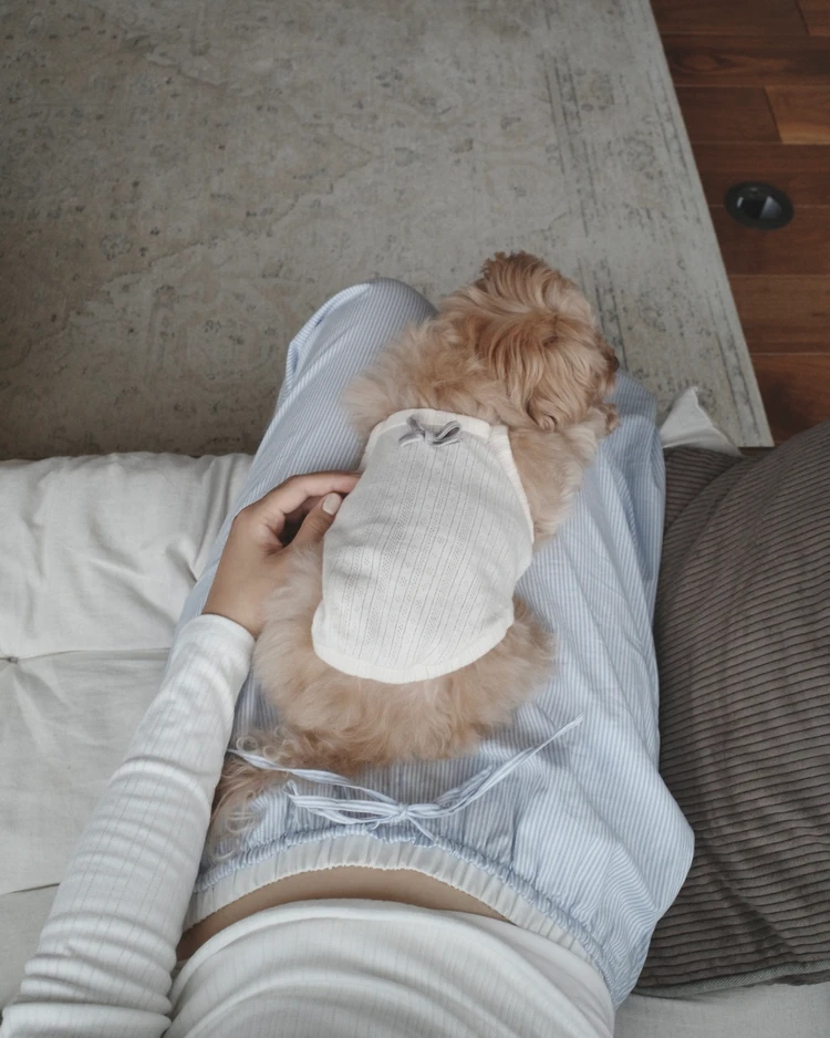 ワンちゃんをお迎えしたお家におすすめしたい気分が上がるインテリア_5