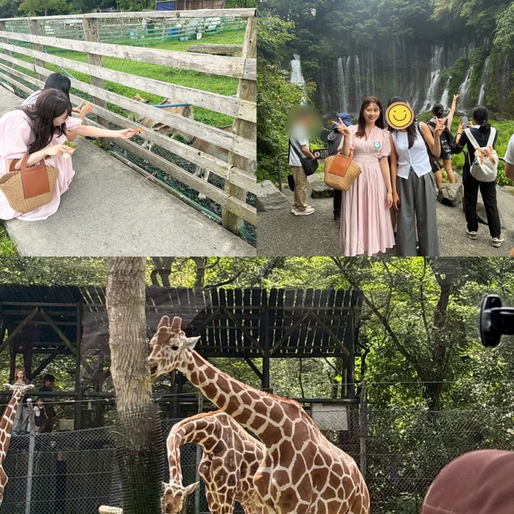 【写真】美味アイスを徹底レビュー_0