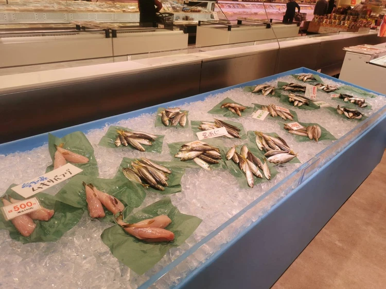 【浜松】風と砂のアートを楽しむ中田島砂丘が日帰り絶景ドライブ旅に最適!【週末リセット】_12