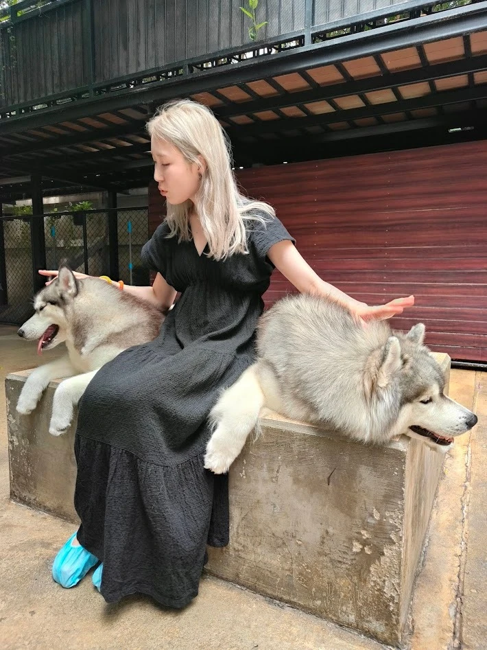 ハスキーカフェ　バンコク