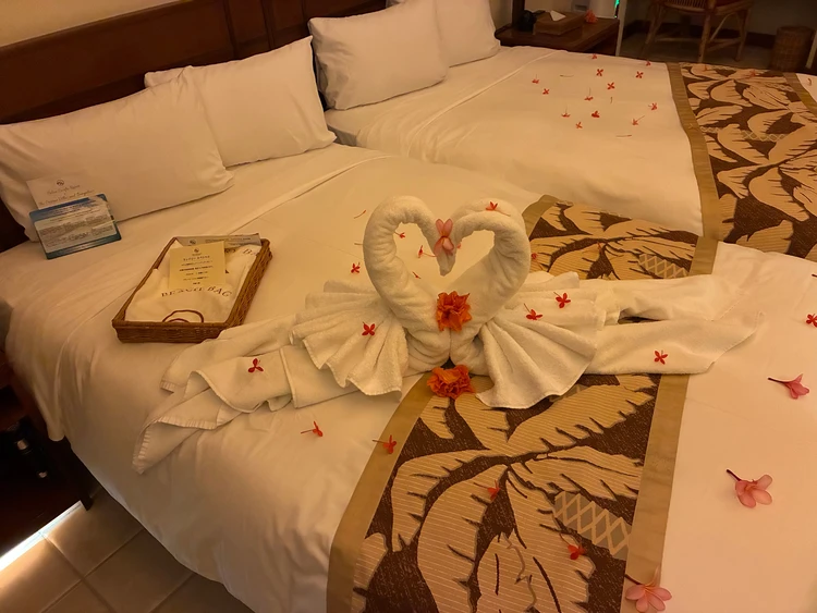 【パラオ旅行②】パラオパシフィックリゾート(PPR)滞在記🏝️_12