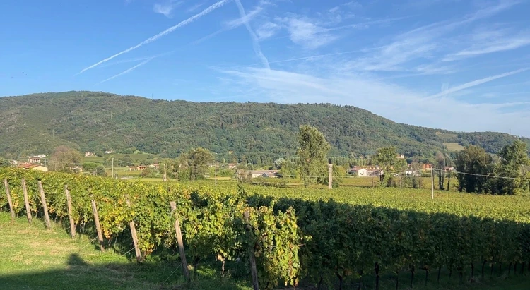 一生に一度は訪れたい。イタリアワインの贅沢旅【泡の名地へ】_2_1