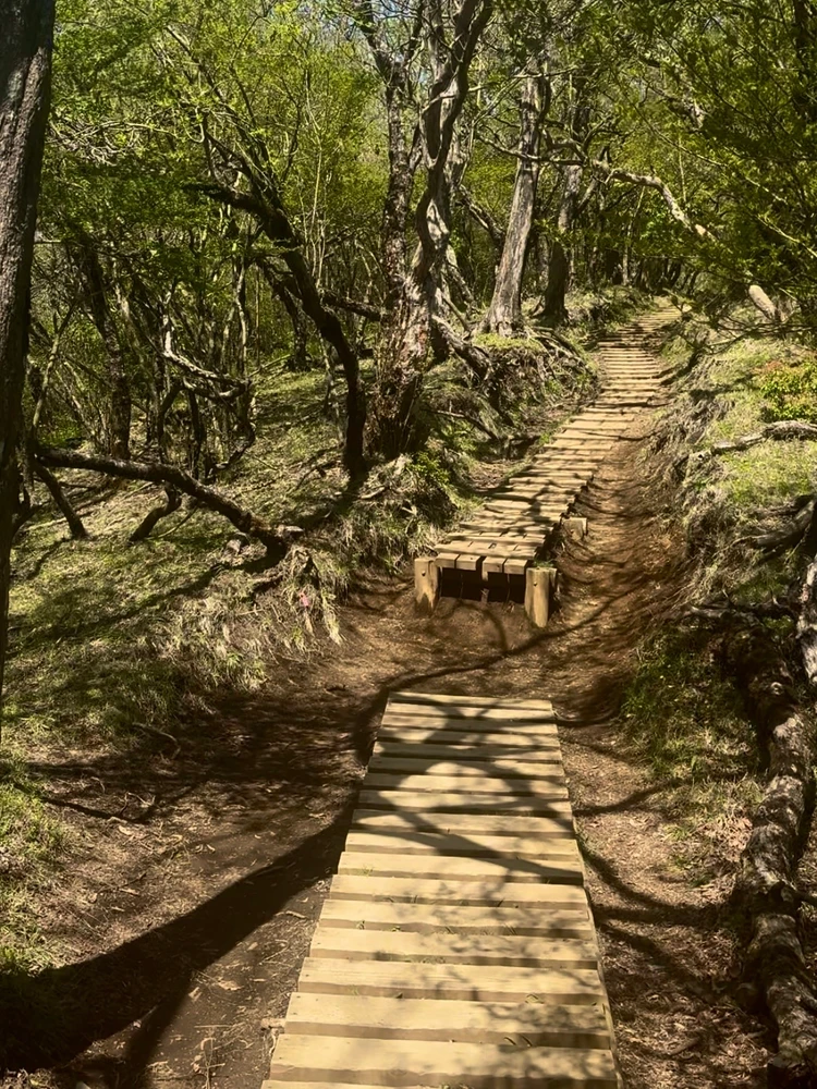 大山登山
