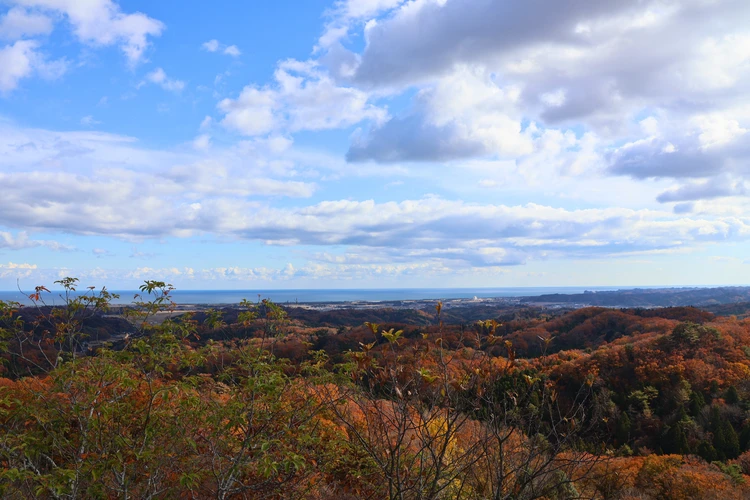 【登山デビューしました】福島・絹谷富士で紅葉と海を望むパノラマ絶景を楽しむ【ゆるく低山から第一歩】_11