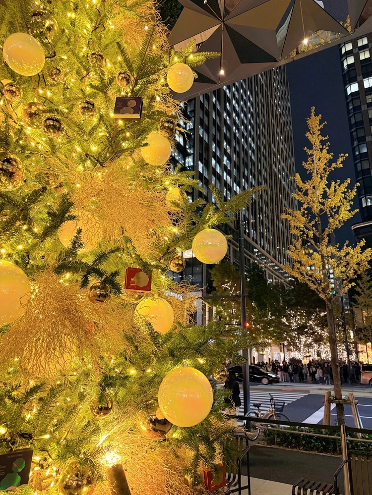 丸の内　仲通り　イルミネーション　2025