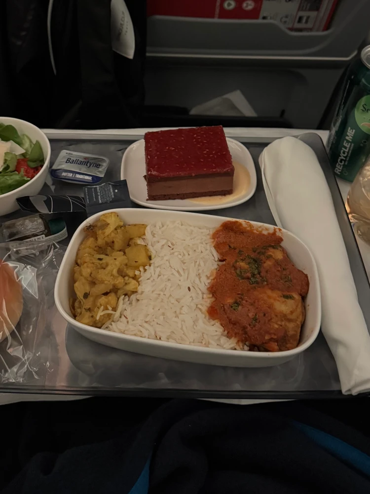 #機内食レポ｜デルタ航空で楽しむ本格インド風チキンカレー_3