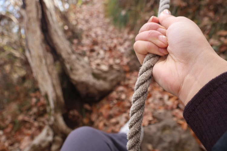 【登山デビューしました】福島・絹谷富士で紅葉と海を望むパノラマ絶景を楽しむ【ゆるく低山から第一歩】_9_1