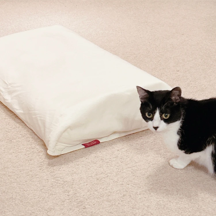 ブレインスリープ ピロー