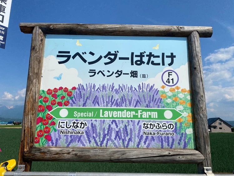 【2025年・夏】北海道・富良野のラベンダー畑へ!ノロッコ号でのんびり列車旅_5