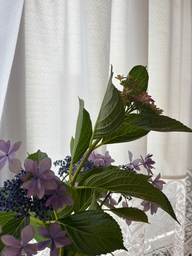 カジュアルなのに女っぽい！秀逸韓国ブランド【OAF】_1