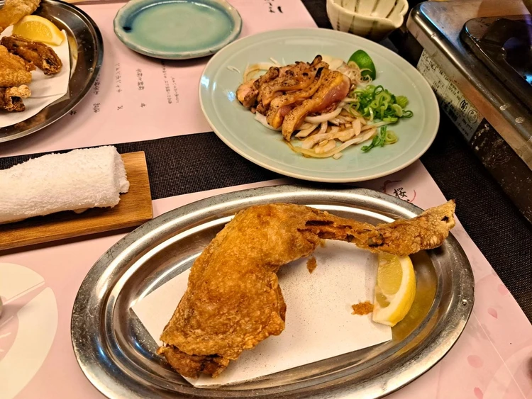 【中目黒】花見の正解はここ！古民家「はし田屋」で美肌な濃厚水炊き【予約方法も】_2