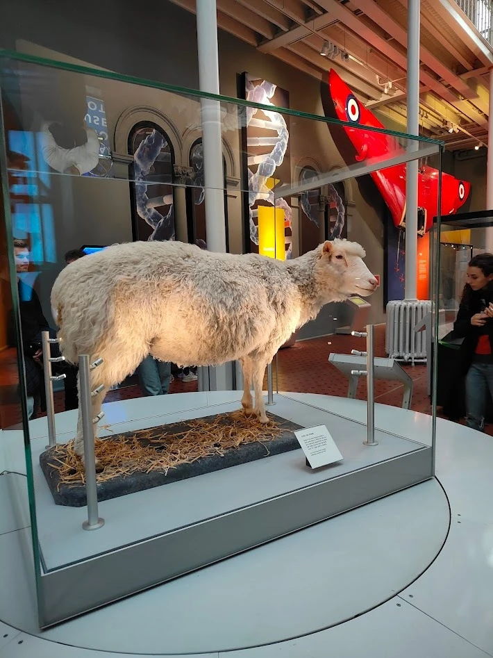 スコットランド国立博物館 ドリー