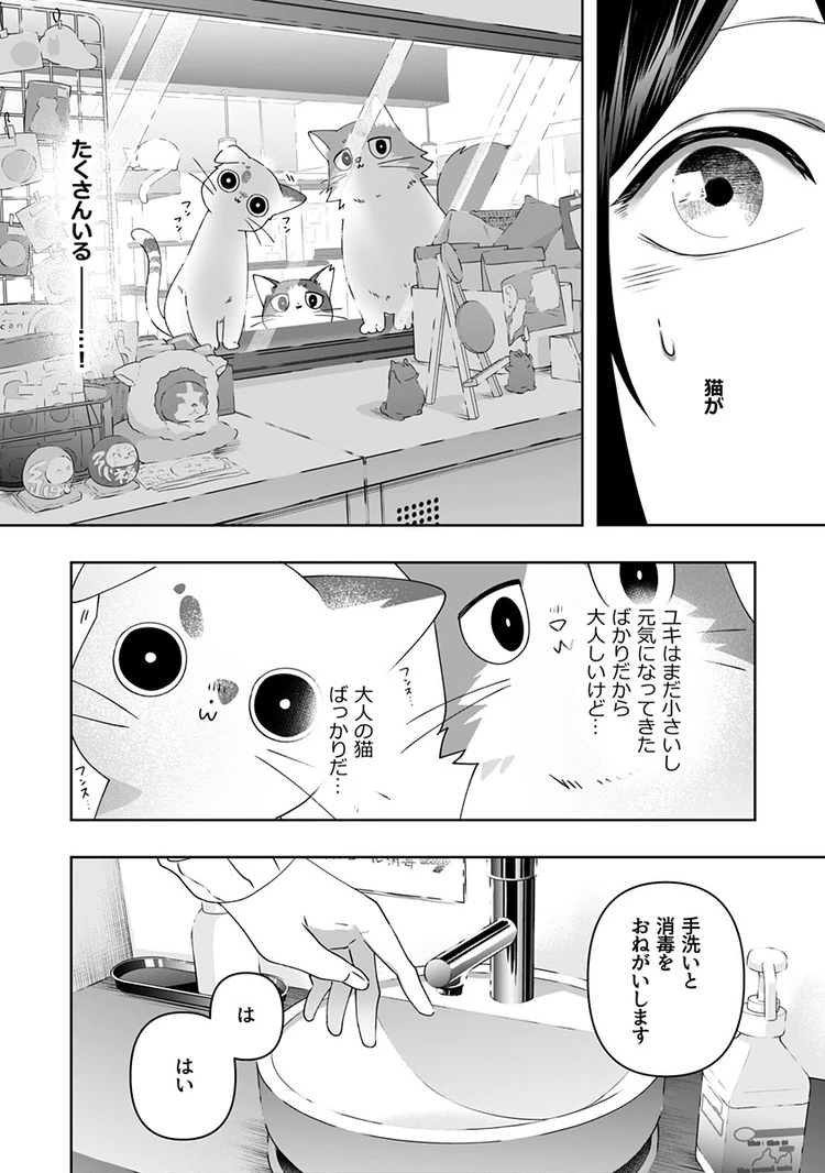 猫には猫の猫ごはん。 5話 page2