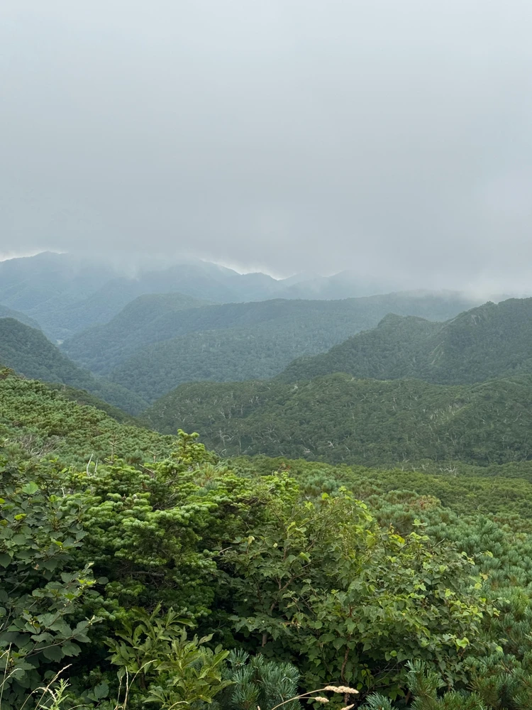 【北海道 道東エリア】網走・知床・弟子屈２泊３日絶景旅②知床半島＆野付半島編_17