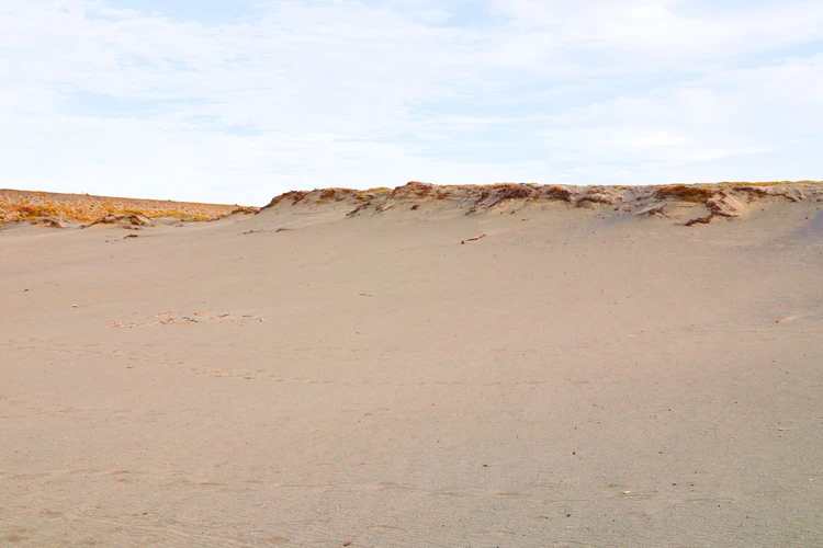 【浜松】風と砂のアートを楽しむ中田島砂丘が日帰り絶景ドライブ旅に最適!【週末リセット】_8