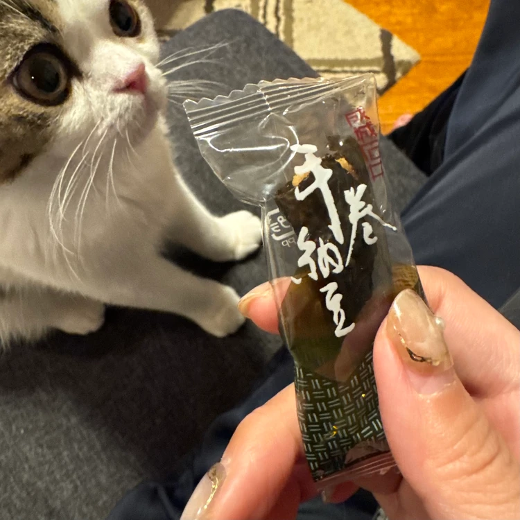 【成城石井】リピート買いするほど美味しい!私がハマっている厳選おやつ3選_4