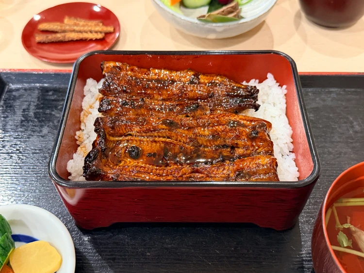 元静岡県民の夫に聞いた！静岡駅周辺のおすすめグルメ5選【焼肉・うなぎ・スイーツ】_13