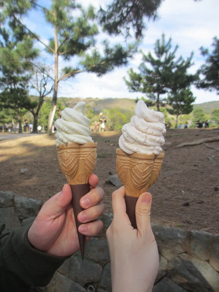 まだ見頃に間に合う♡ 桜をたのしむ古都・奈良旅のすゝめ|日帰りプラン_12_2