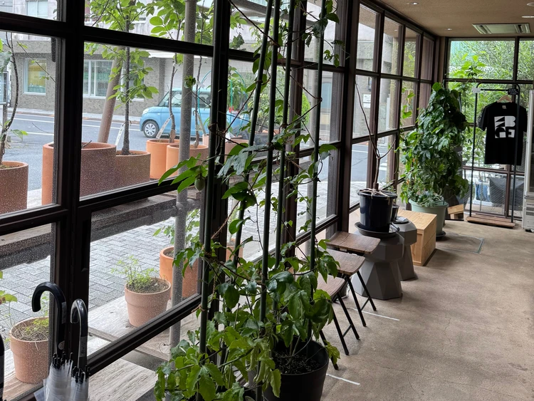 【渋谷駅から徒歩約10分の植物園】渋谷区ふれあい植物センターなら雨の日も楽しめる!_3