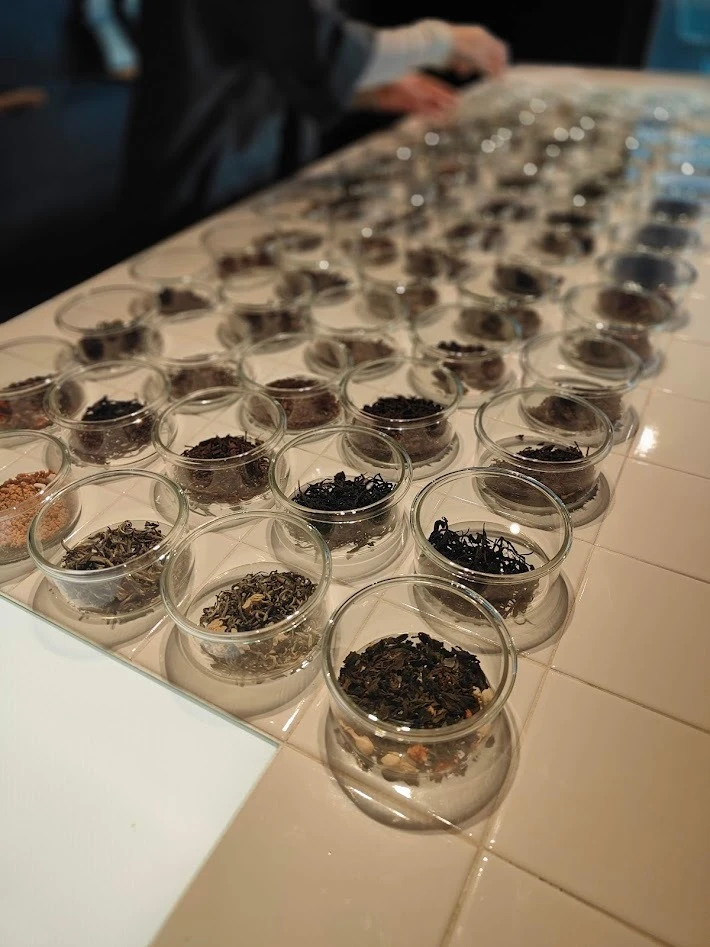 T7+ セブンティープラス