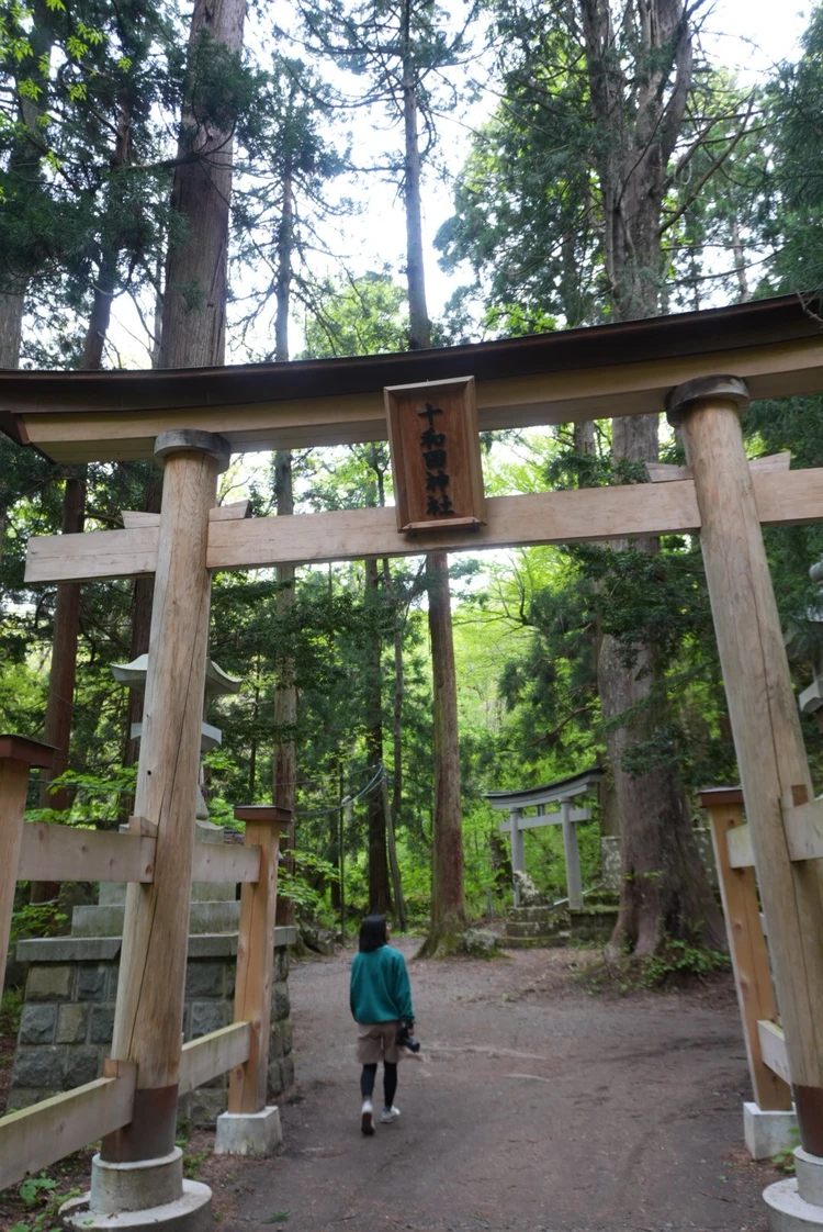 【2日目｜青森】十和田湖と白神山地を巡る大自然の東北絶景旅_1_1
