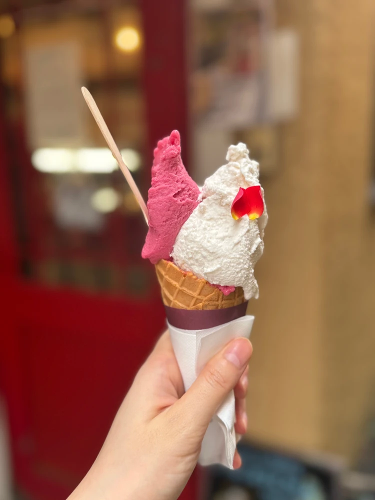 【ジェラテリア テオブロマ】味覚の魔術師が手がける本格ジェラート🍨#BAILAアイス部_2