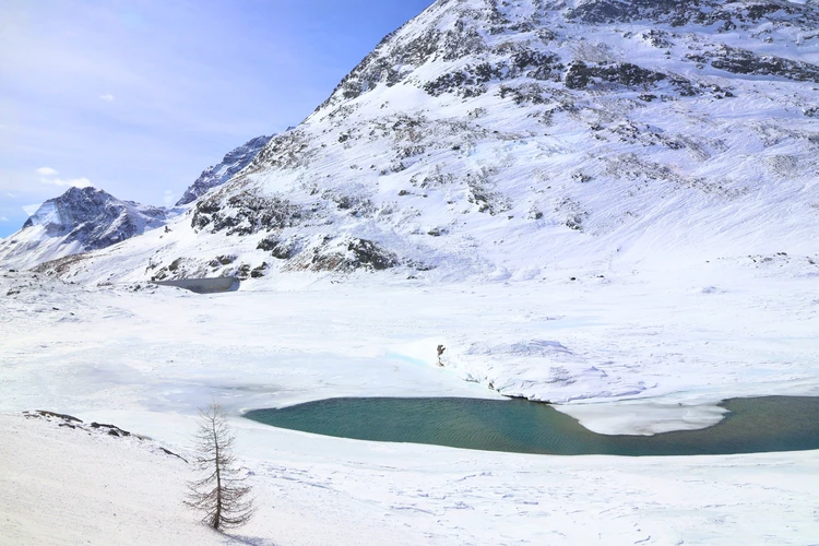 【世界遺産】車窓が美術館！ベルニナ急行で巡る色のコントラストと絶景旅【イタリア⇔スイス】_11