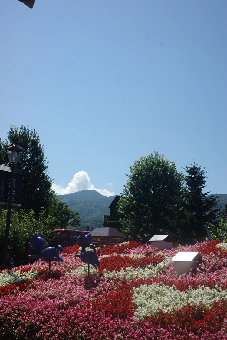 【親子3世代での北海道旅行①】真夏でも涼しい札幌観光、白い恋人パーク、チーズ専門店でのディナーなど_3_2
